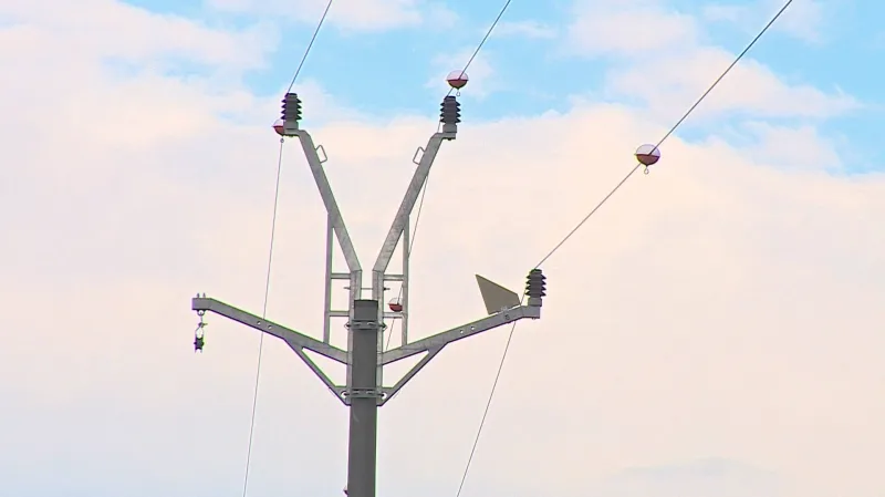 Pro ptáky je prakticky nemožné sednout si na upravené konzoly