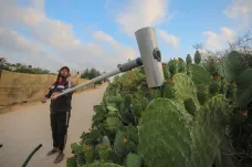 Poslední sklizeň kaktusů. V Pásmu Gazy končí pěstování opuncií