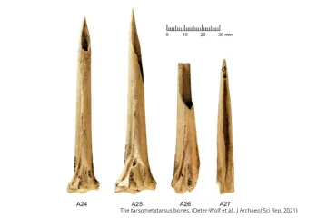 Archeologové popsali nejstarší tetovací „jehly“. Indiáni si těla zdobili pomocí krocaních kostí