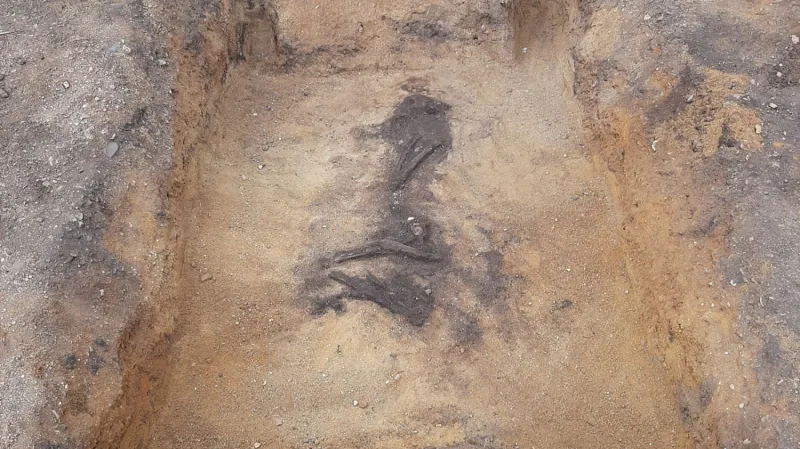 Pohřeb dospělého jedince pod mohylou ve Vražkově byl špatně dochován a neobsahoval žádnou pohřební výbavu