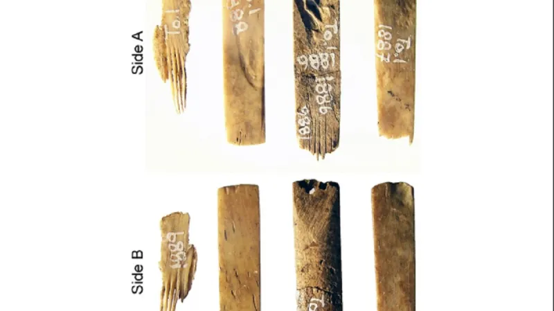 Tetovací nástroje z Polynésie