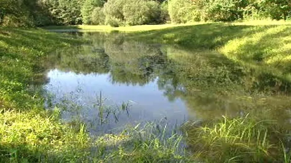 Tůně v povodí potoka Liběchovka