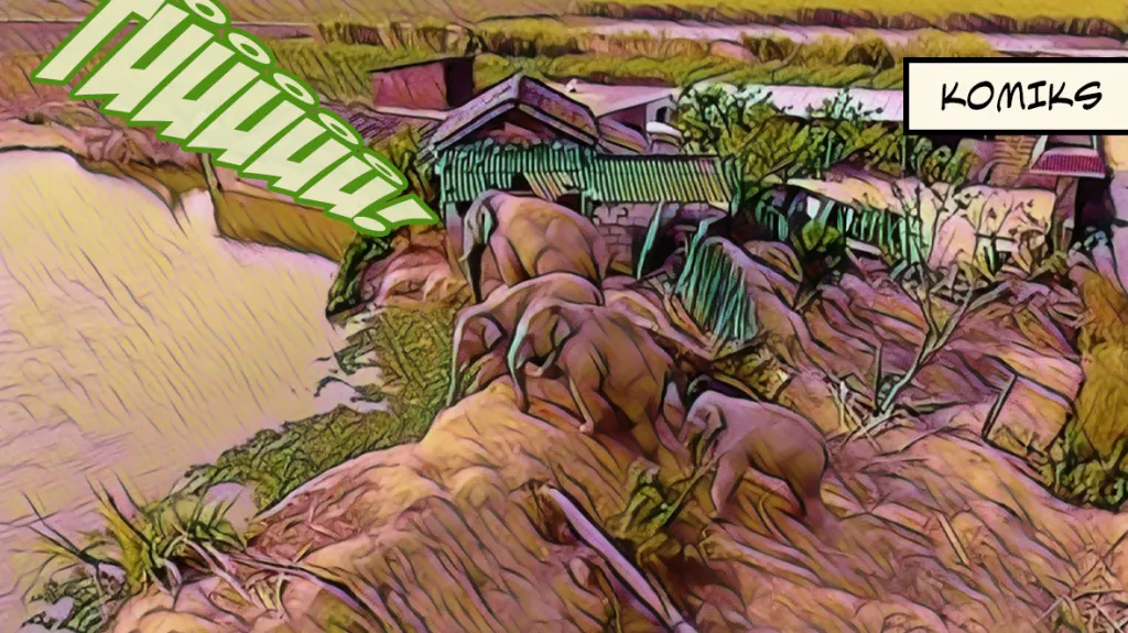 Sloní stádo je v Číně na cestě