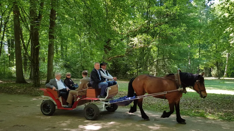 Miloš Zeman během projížďky Bělověžským pralesem