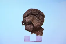 Vědci našli nejstarší chléb na světě. Bochník upekli v Turecku před skoro devíti tisíci roky