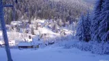 Petřikov