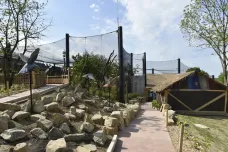 Zlínská zoo dokončila Jaguar Trek, šelmy tam mají největší výběh v Evropě 