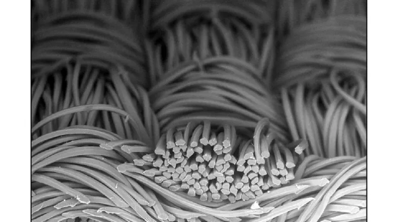 Průřez křížícími se polyesterovými vlákny