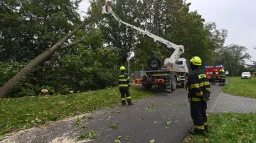 Hasiči na Olomoucku ve spolupráci s poruchovou jednotkou likvidovali strom