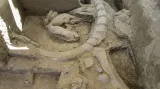 Paleontologické nálezy v Mexiku