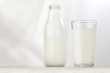 Mlékomaty: Byznys, který se těžko udržuje při životě