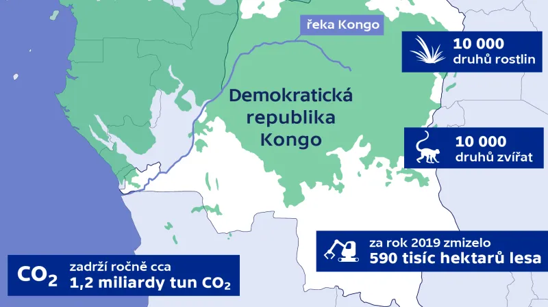 Konžský deštný prales