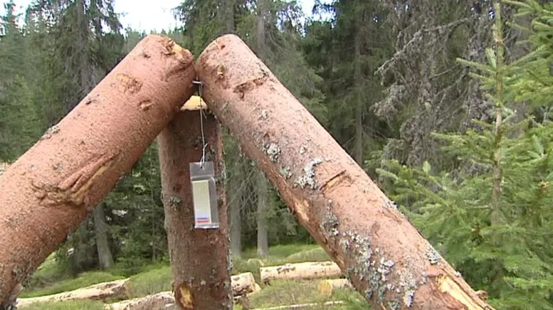 Trojnožka s biocidy