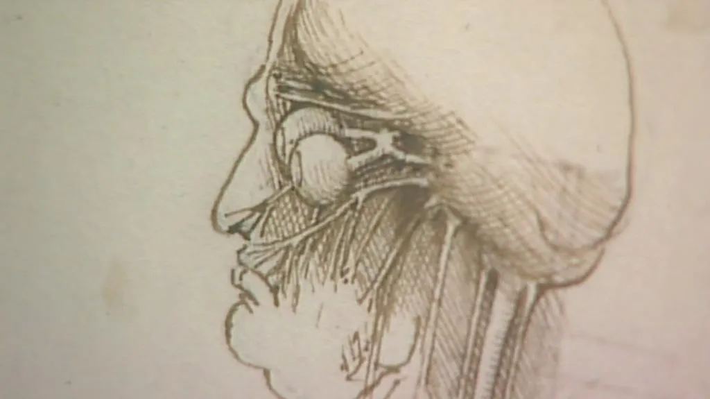 Kresba Leonarda da Vinciho
