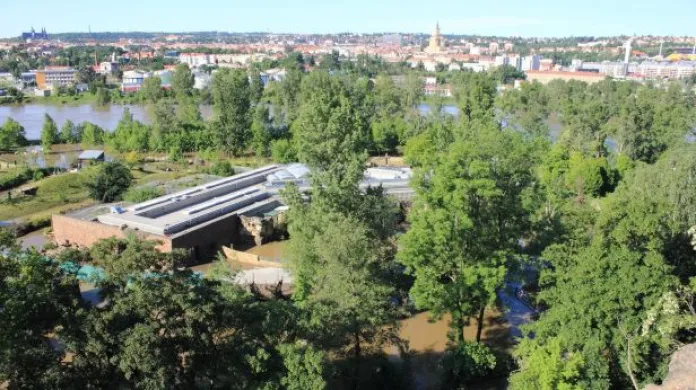 Loňské povodně způsobily v pražské zoo škody za 52 milionů