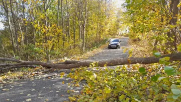 Spadlý strom na silnici (26. října 2025)