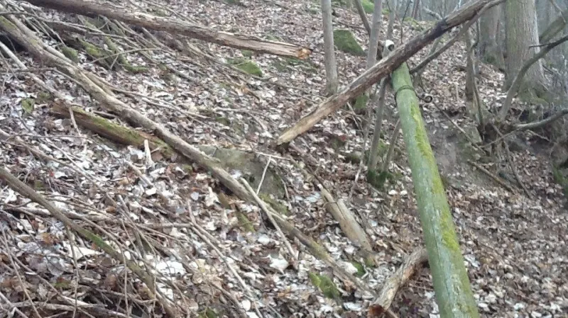 Poslední zbytky železné opony, kterými v 50. letech vedl do drátů elektrický proud