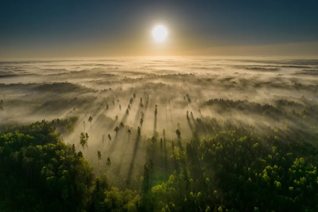 Renata Kilinskaitová, Litva: Východ slunce v Litvě

Dokonalé ráno v Litvě. Slunce vychází nad mlhou pokrytými lesy a vrhá zlatavý lesk na vrcholky stromů. Jemná mlha vytváří snovou, klidnou atmosféru a zachycuje mírumilovnou krásu východu slunce