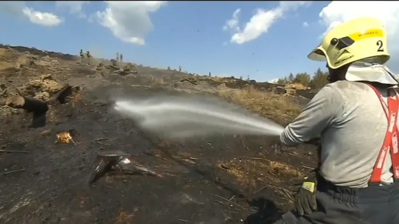 Prolévání spáleniště na Bruntálsku