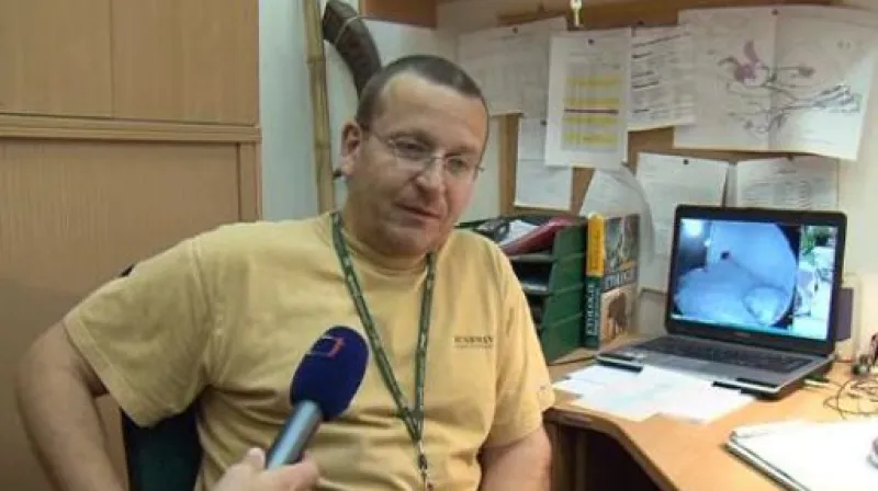 Provozní zoolog ZOO Brno Jiří Vítek o narozených mláďatech ledního medvěda - 22.11.2010