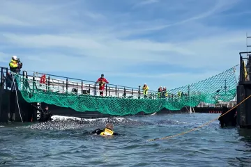 Člun s keporkakem zvaným Timmy pokračuje v cestě do Severního moře