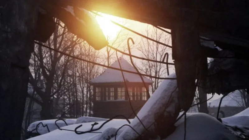 Události v kultuře: Osvětimské album