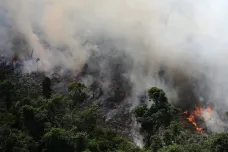 Brazilské lesy spaluje rekordní množství požárů, Sao Paulo se ponořilo do tmy