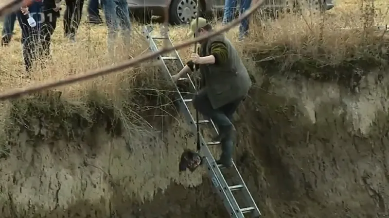 Nález kančích hlav v potoce ve Slezských Pavlovicích