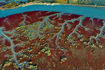 Týden obrazem: Čajová škola, bambusová fontána a Červená pláž 