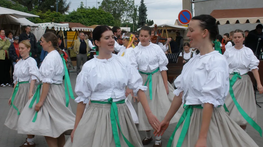 Staročeské máje - Vojvoda - Mokropsy