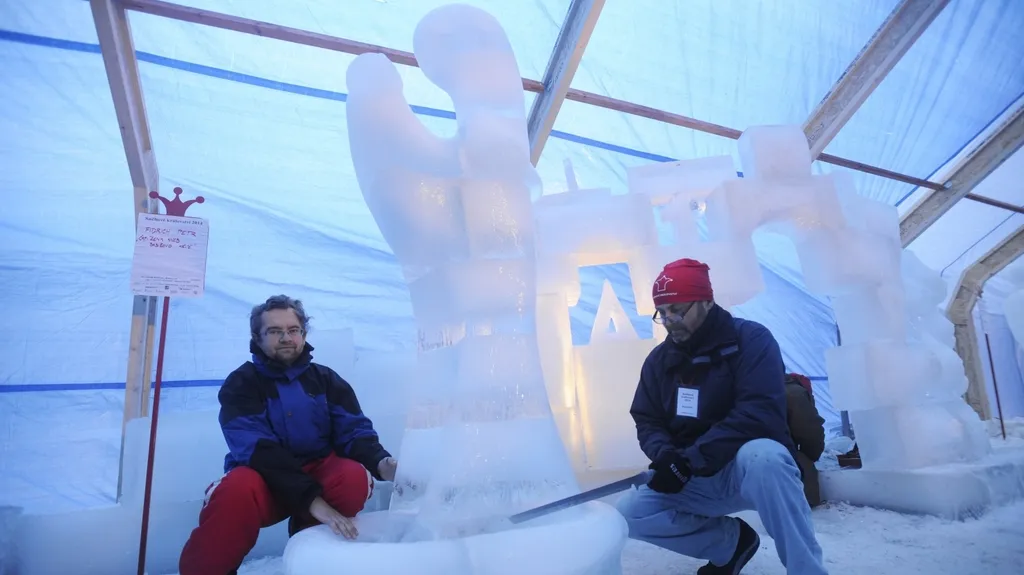 Vítěz podle odborníků: "Čapí žena" od Petra Fidricha