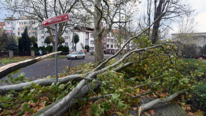 Popadané stromy a větvě v Bezručově ulici v Ústí nad Labem,  Autor: Zavoral Libor,  Zdroj: ČTK