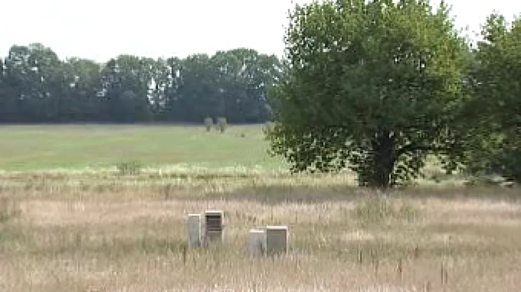 Pozemek ve Starém Máteřově