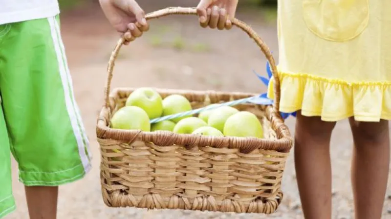 Ludvík: Poláci možná současného systému zneužili