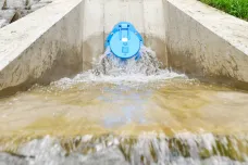 Vodohospodáři dopouštějí Bolevecký rybník přečištěnou vodou z Berounky