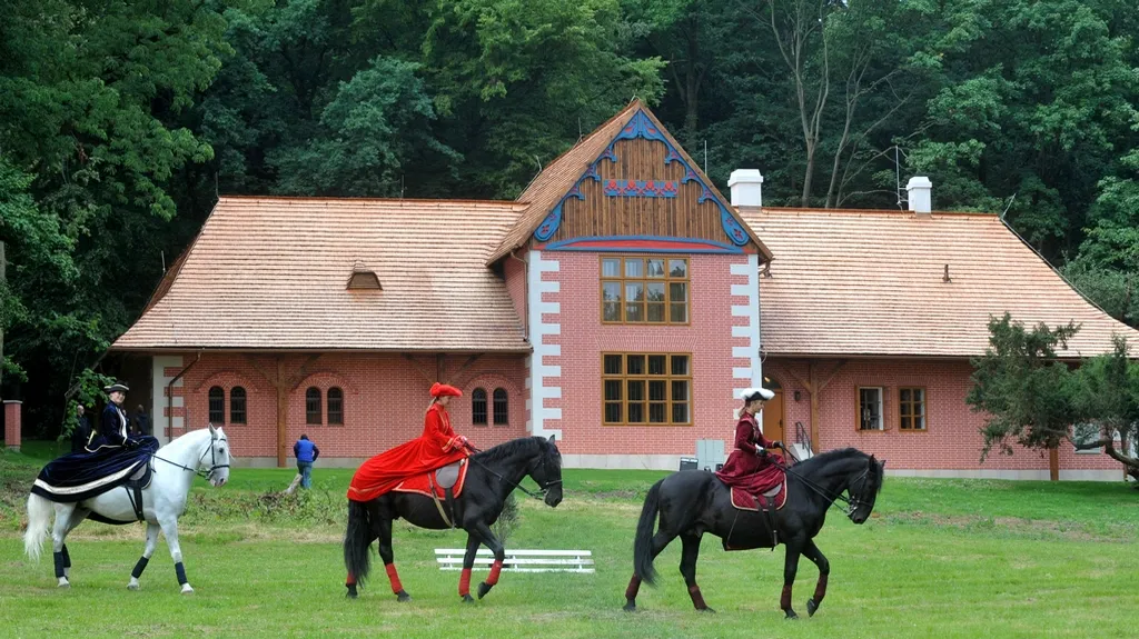 U Slatiňan vzniklo muzeum starokladrubského koně