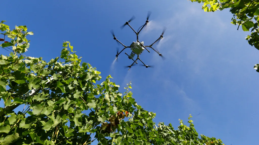 Drony v zemědělství
