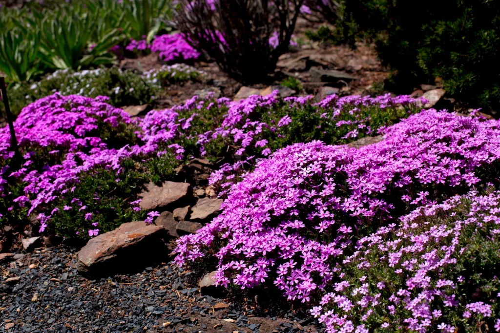 Samotná trojská zahrada je rovněž na žebříčku oblíbenosti vysoko. V rámci Evropy patří mezi deset nejoblíbenějších
