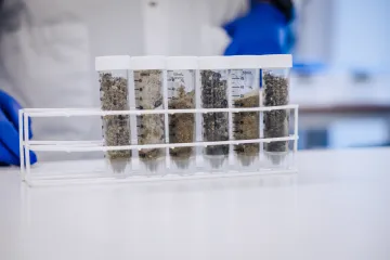 Moře u Špicberků může stvořit bakterie vzdorující antibiotikům