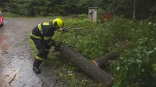 Hasič odklízí popadané stromy