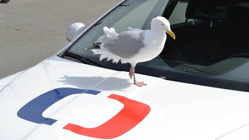 Postřehy odjinud - Wales očima Petra Voldána