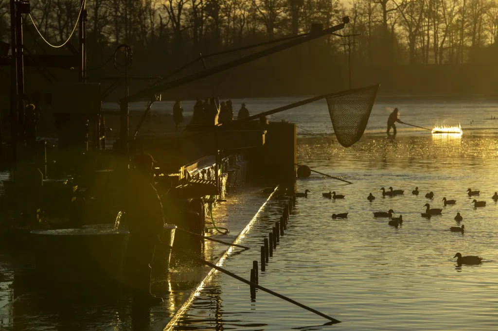 Třeboňští rybáři začali lovit rybník Svět