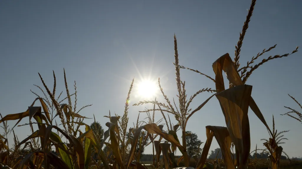 Rekordní sucho v Polsku