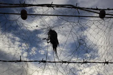 Ve Středomoří pytláci pozabíjí ročně 25 milionů ptáků. Čeští experti se snaží situaci zvrátit