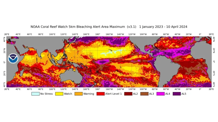 Mapa ukazuje místa v oceánu, která trpěla největším tepelným stresem