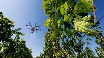 Drony v zemědělství
