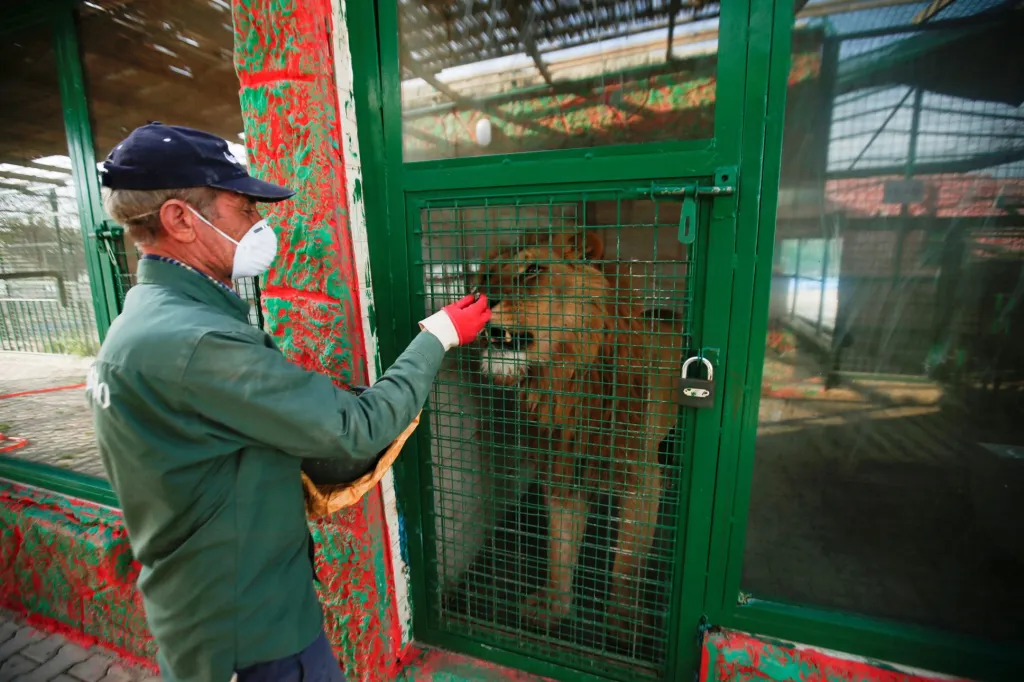 Jamal Yusuf Ali je ošetřovatel divoké zvěře v Erbil Zoo v Iráku. Jamal se obává o budoucnost zvířat