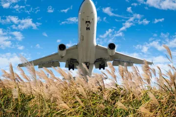 Dekarbonizaci letecké dopravy může pomoci sloní tráva