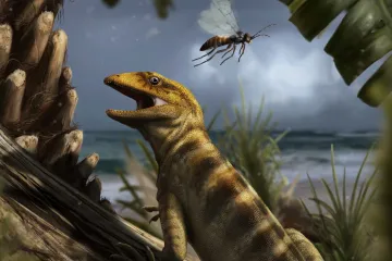 Matka všech ještěrů žila v Itálii. Pro vědu je to Rosettská deska paleontologie