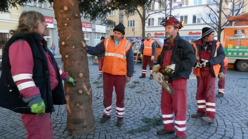 Z instalace vánočního stromu v Lounech